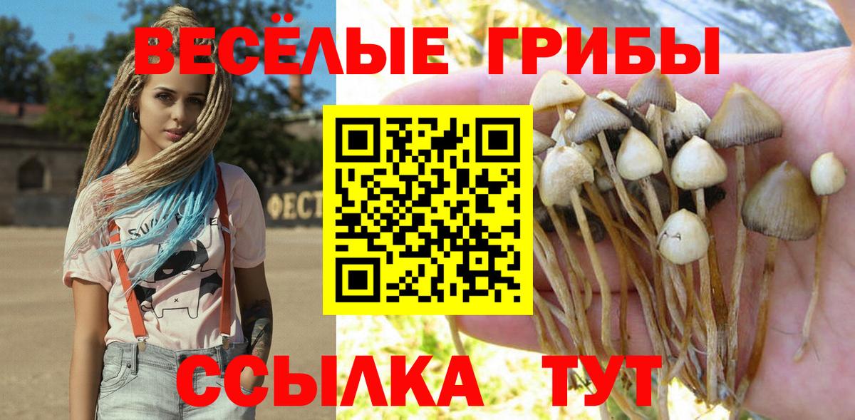 Псилоцибиновые грибы ЛСД Кузнецк