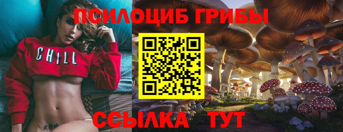 Галлюциногенные грибы GOLDEN TEACHER  Вход с VPN  Кузнецк 